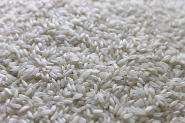 Swarna Rice (Raw)